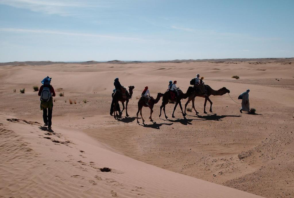 Kasbah Berbere Ouriz Agdz Kültér fotó